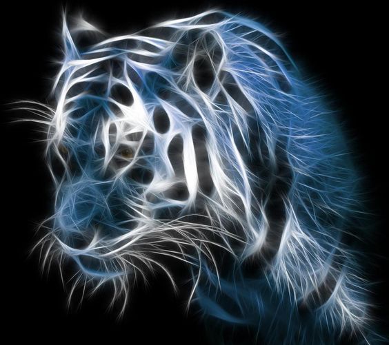 Samsung Galaxy S4 Wallpapers HD – Beautiful black and white tiger ...