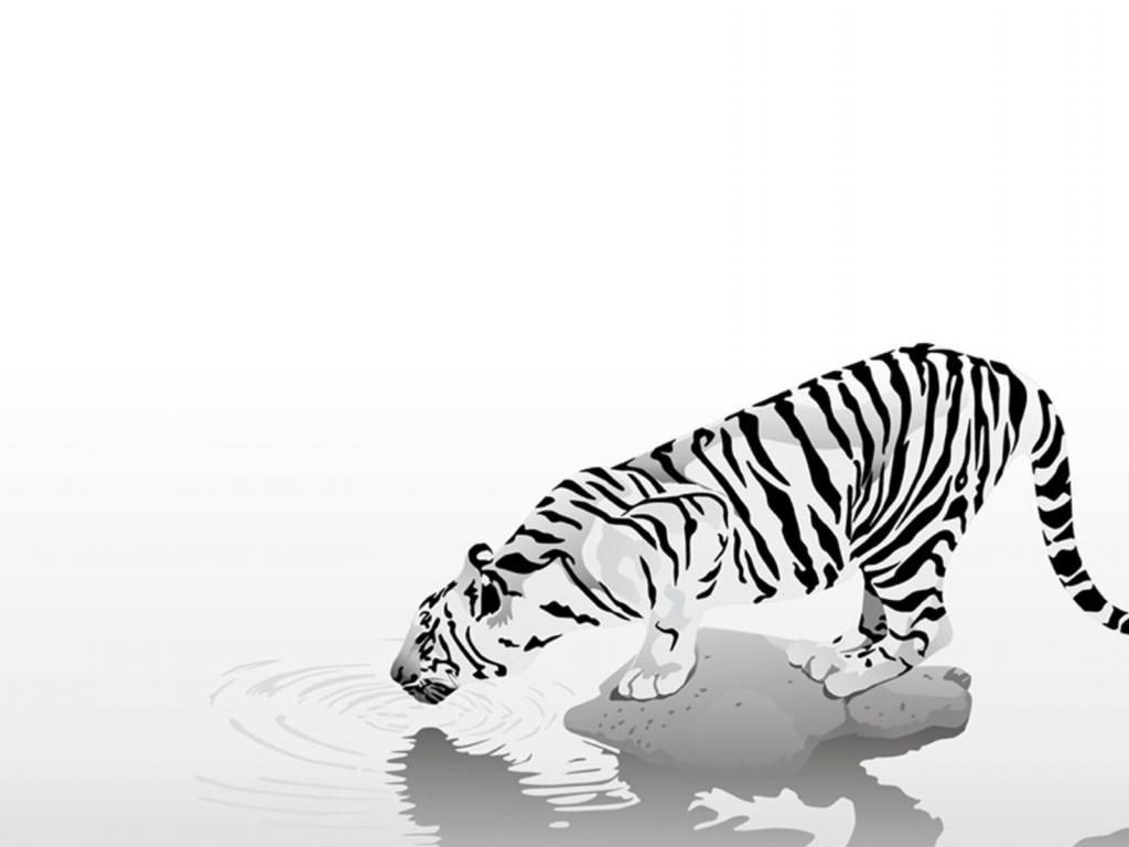 N artwork black white tiger wallpaper | (80433)