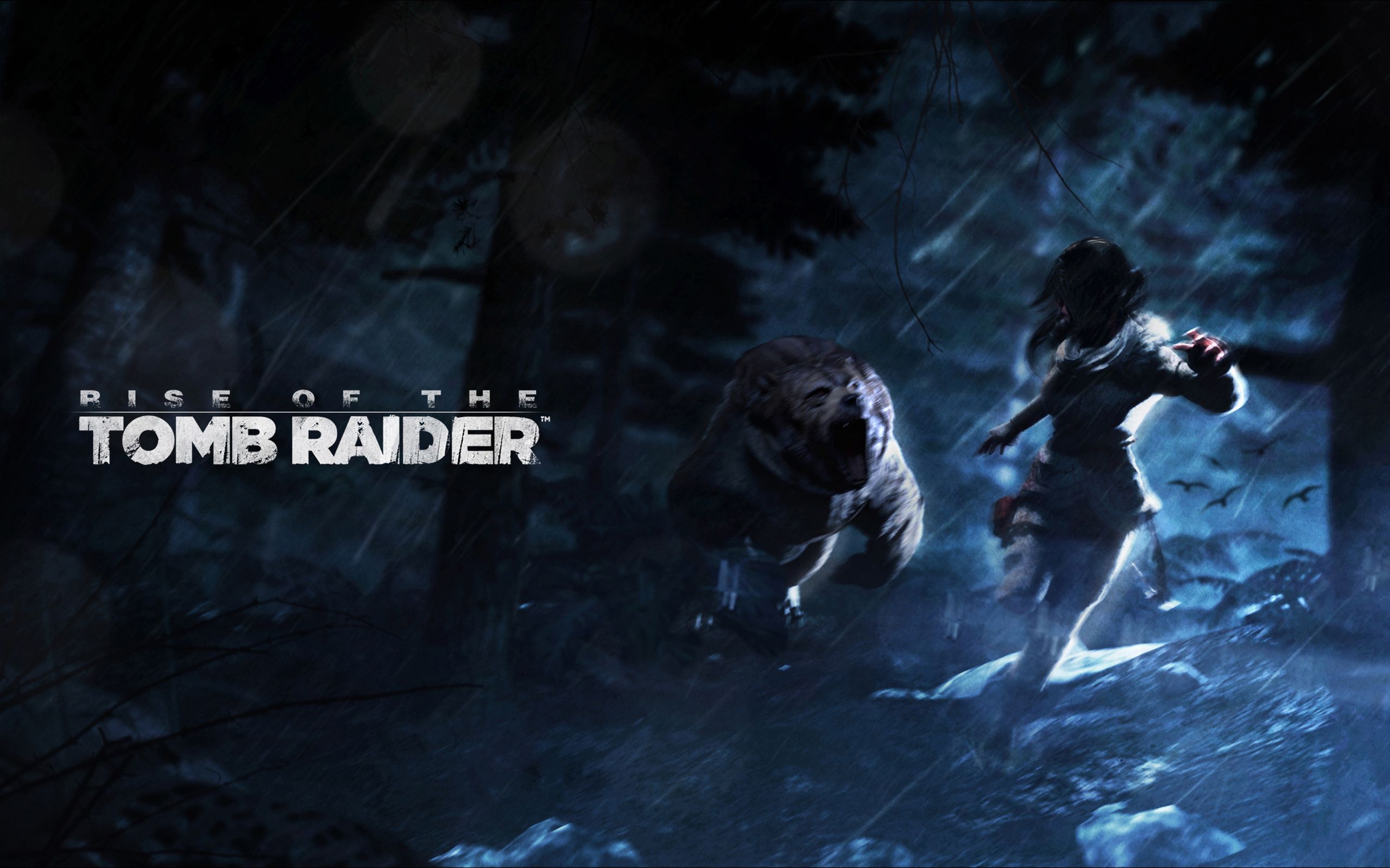 Rise Of The Tomb Raider | Game Title | WLP.ninja
