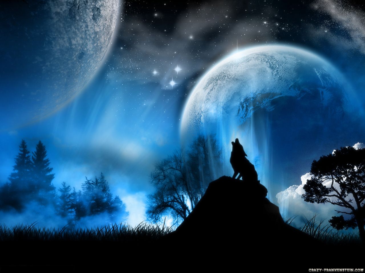 Moonlight wolf 4 HD Wallpaper Animals Backgrounds