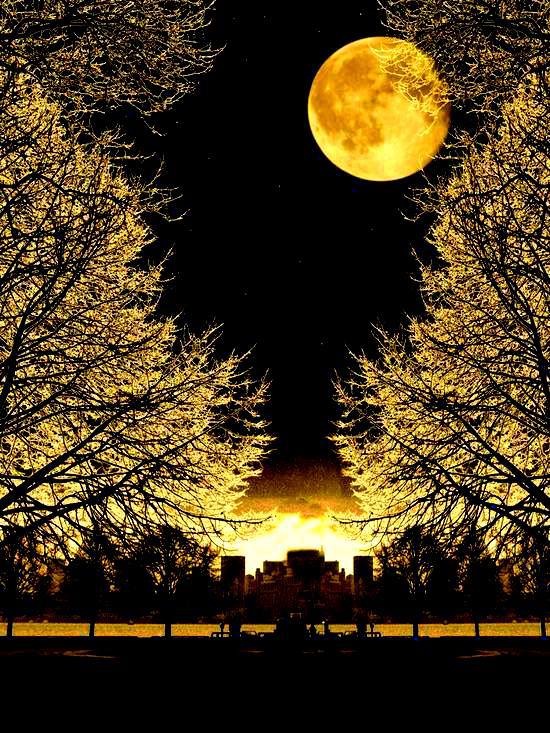 Moonlight wallpaper - Beautiful Pictures Photo (34660537) - Fanpop