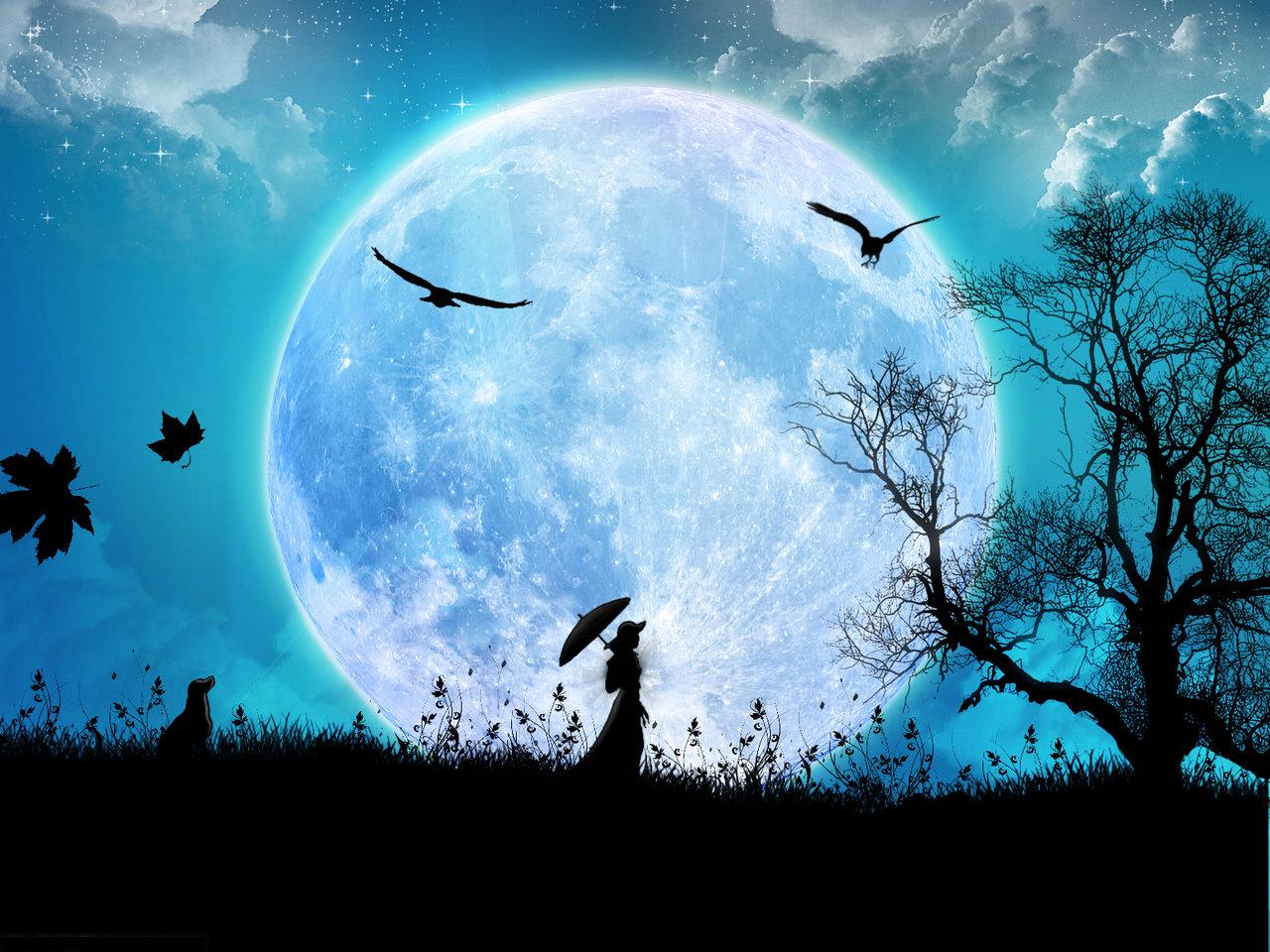 Download Moonlight night wallpapers Most beautiful places in the