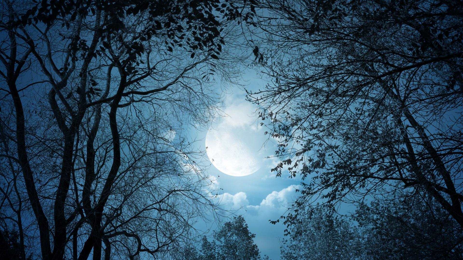 Moon clouds dark landscapes moonlight wallpaper | (94852)
