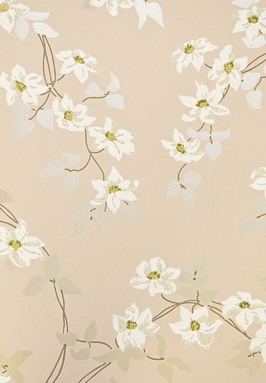 Malleny Floral Wallpaper | Nina Campbell Montacute range