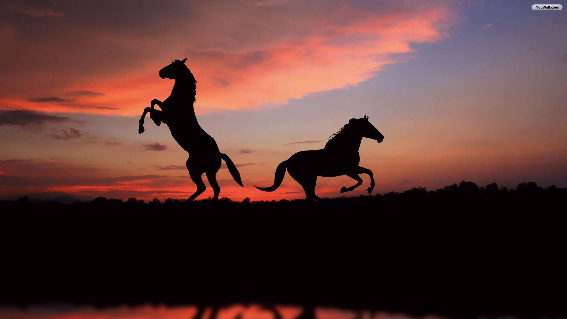Horses In Sunset Your Top HD Wallpapers #ID79478