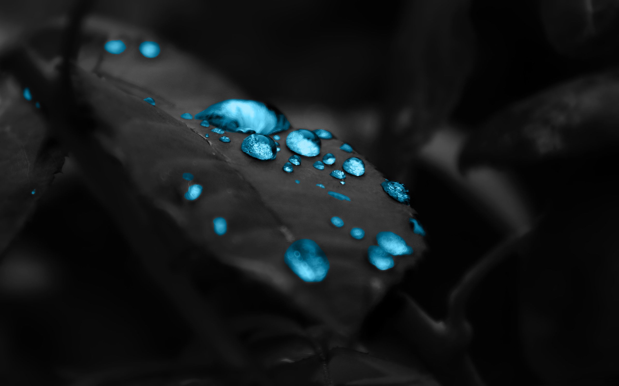 Blue Raindrops Wallpaper | 2560x1600 | ID:20779