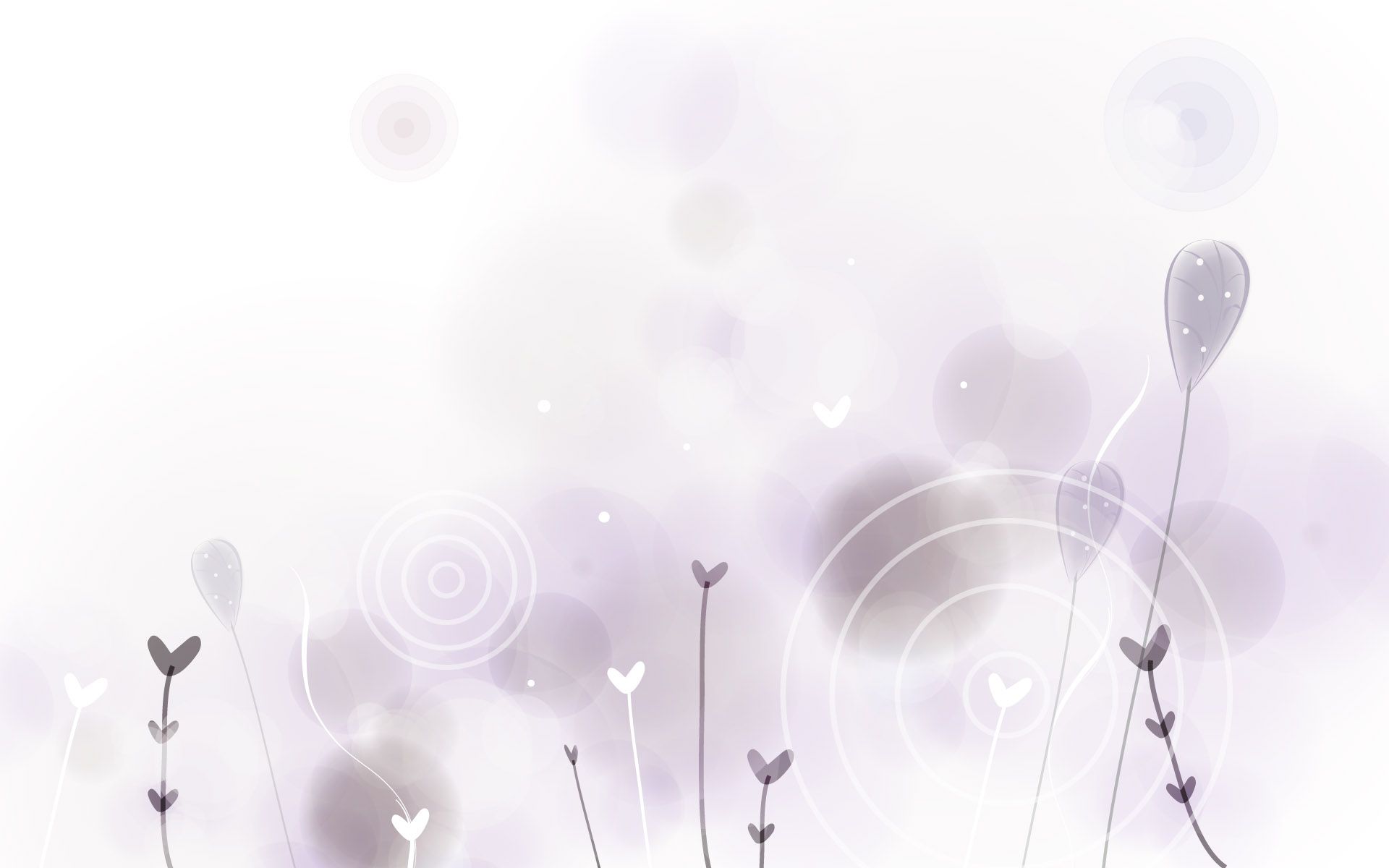 Flowers and gray background images -free pictures