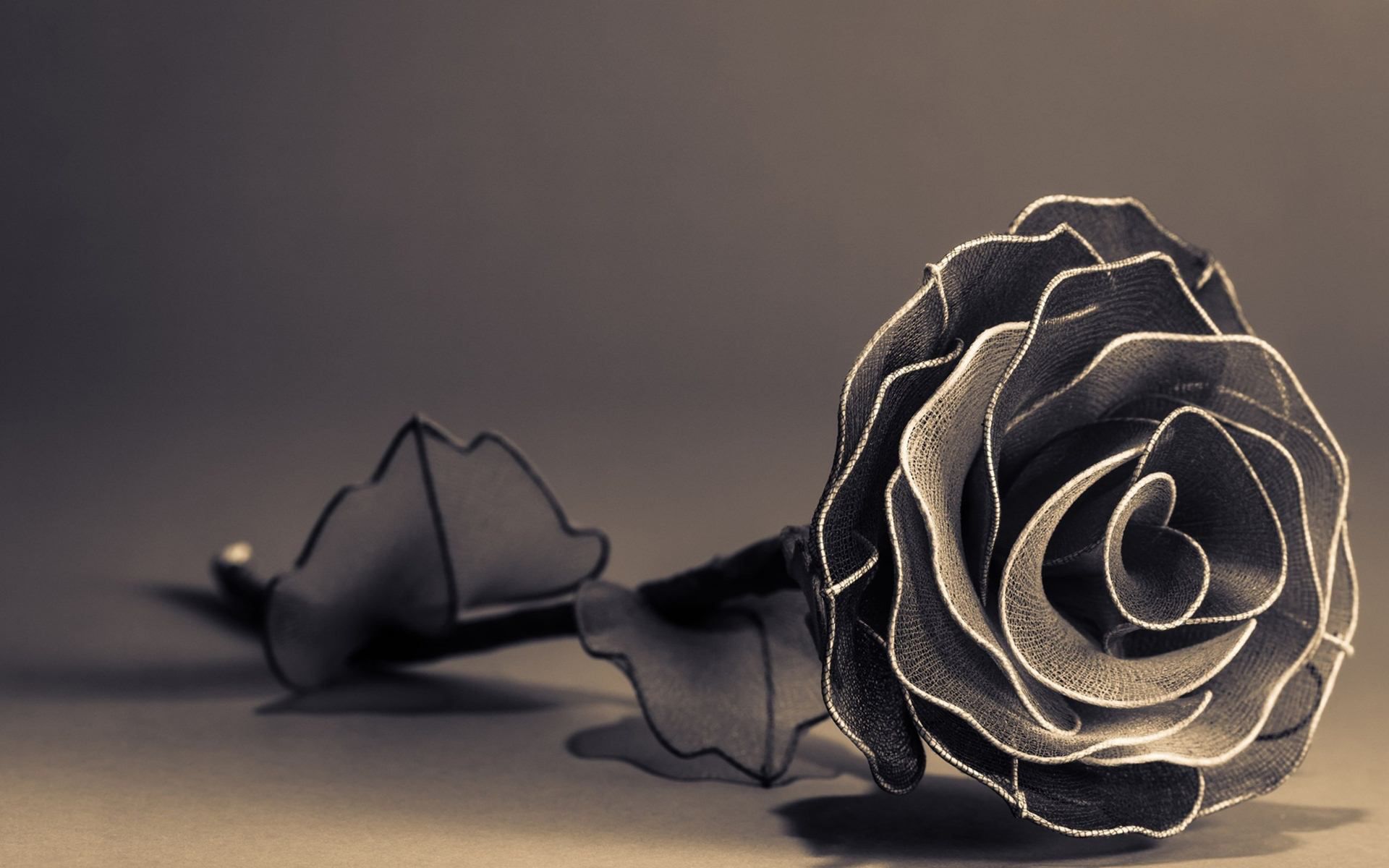 Wallpapers Of Black Roses Group 67