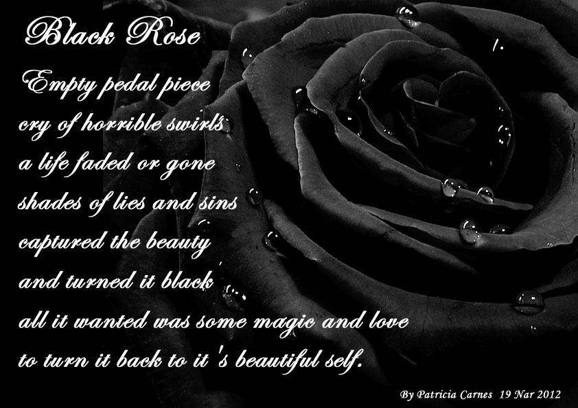 BLACK ROSES AND HEART on Pinterest