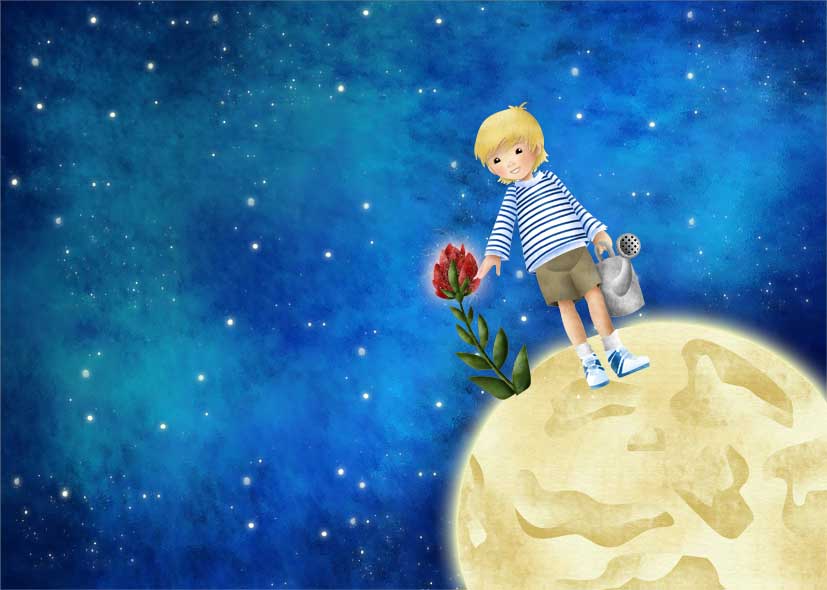 The little prince favourites by r08r17 on DeviantArt
