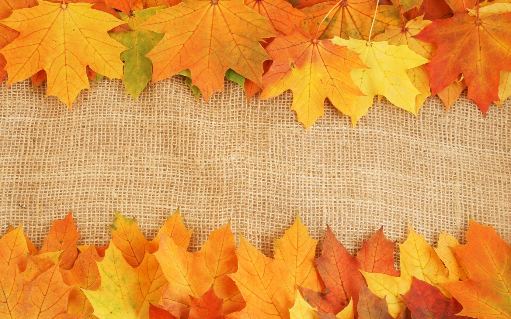Autumn background portrait danasrgf.top