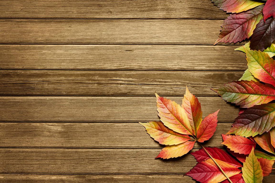Autumn background - High Quality and Resolution