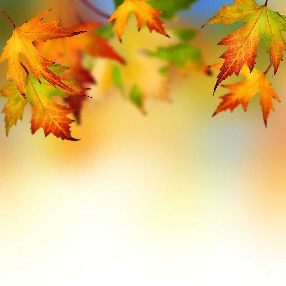 Free Road In Autumn Backgrounds For PowerPoint - Nature PPT Templates