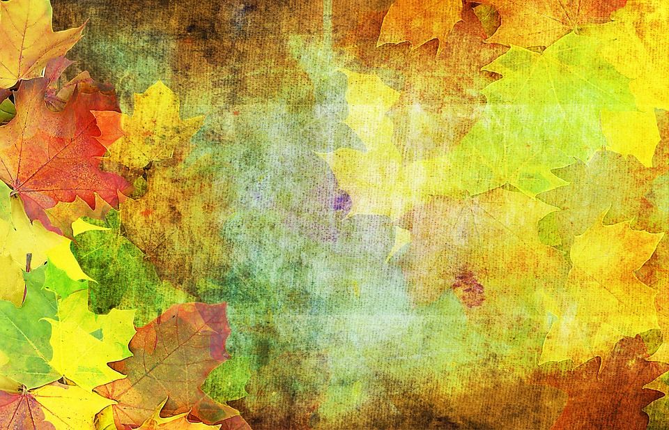 Fall, Leaves, Background - Free images on Pixabay