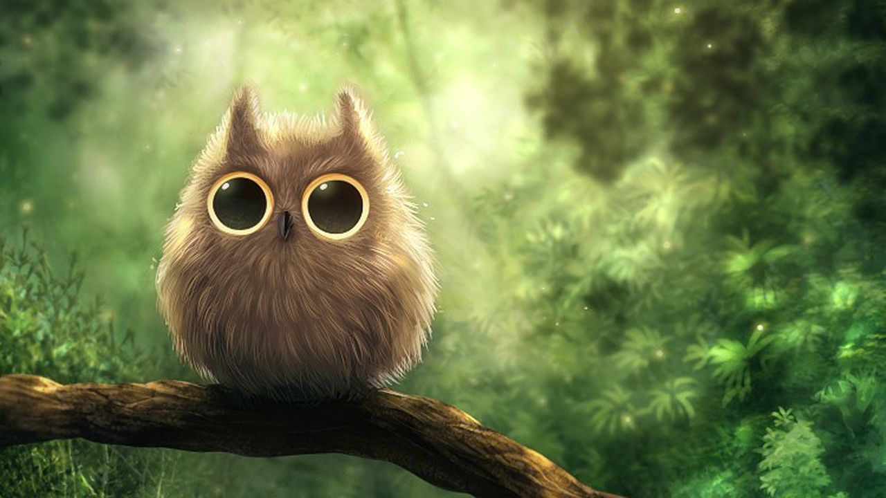 Cute Owl Drawing - wallpaper