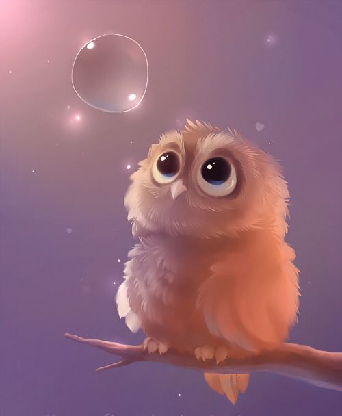 Cute Little Owl Wallpaper - ImgMob