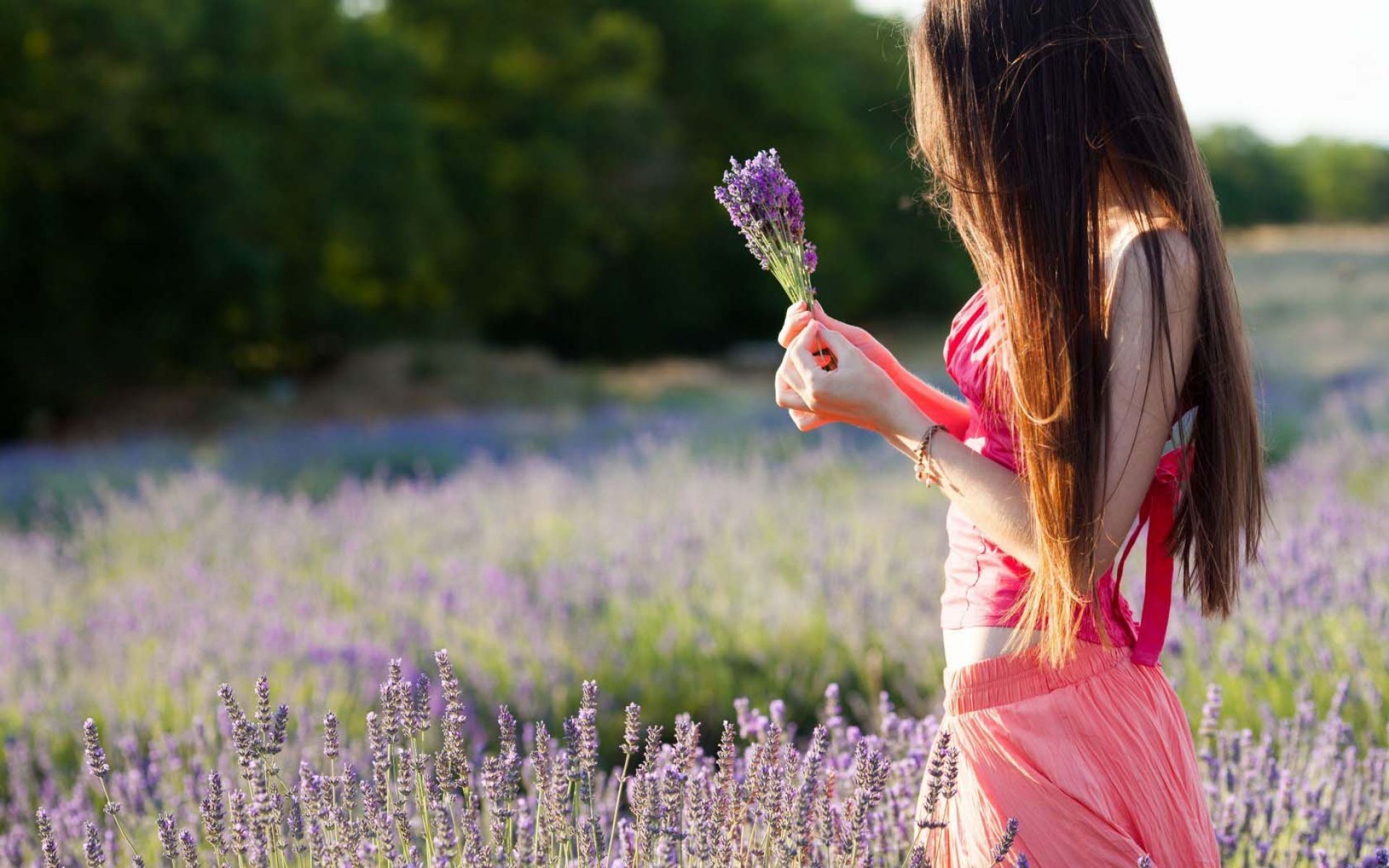Mood Girl Field Flowers Purple Nature Wallpaper | HD Love ...