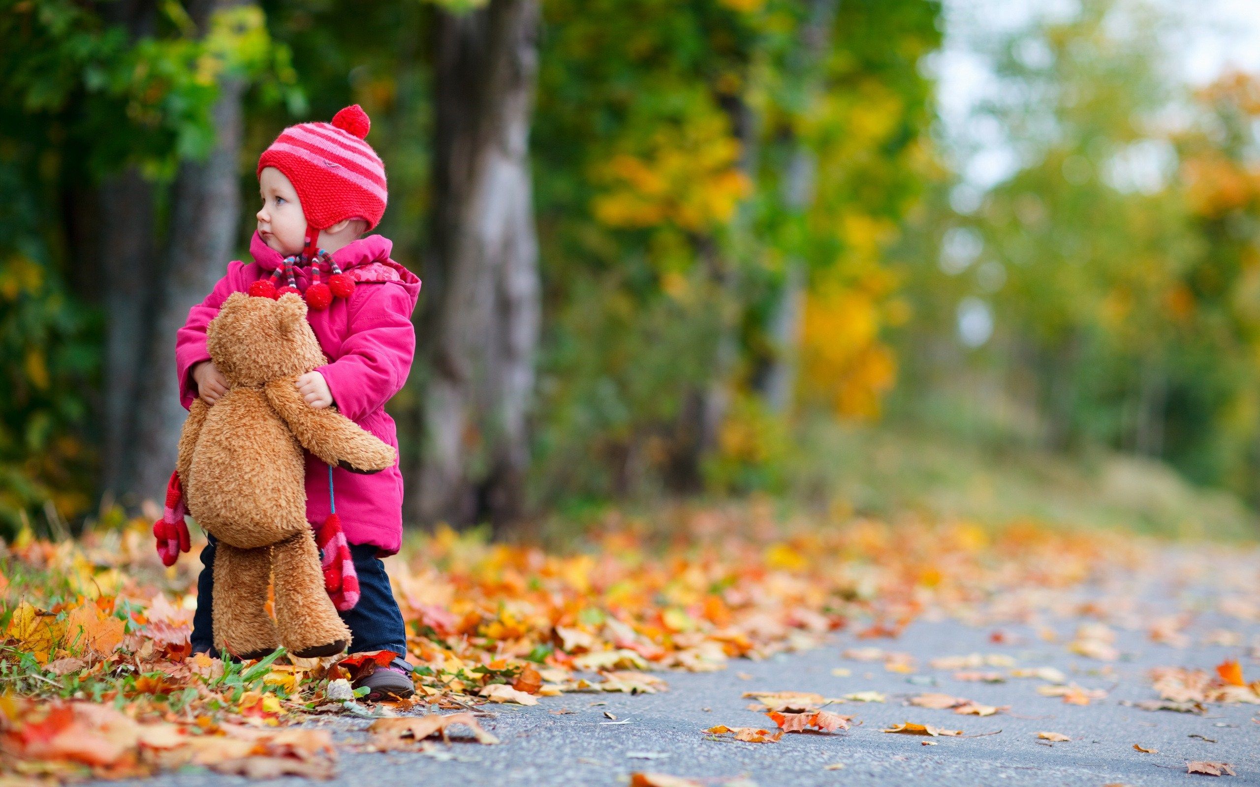 child-girl-bear-toy-autumn-leaves-nature-photo-hd-wallpaper ...