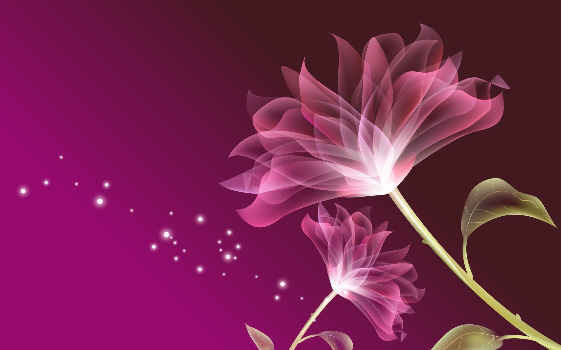 Pink Flowers 3D Wallpaper Background