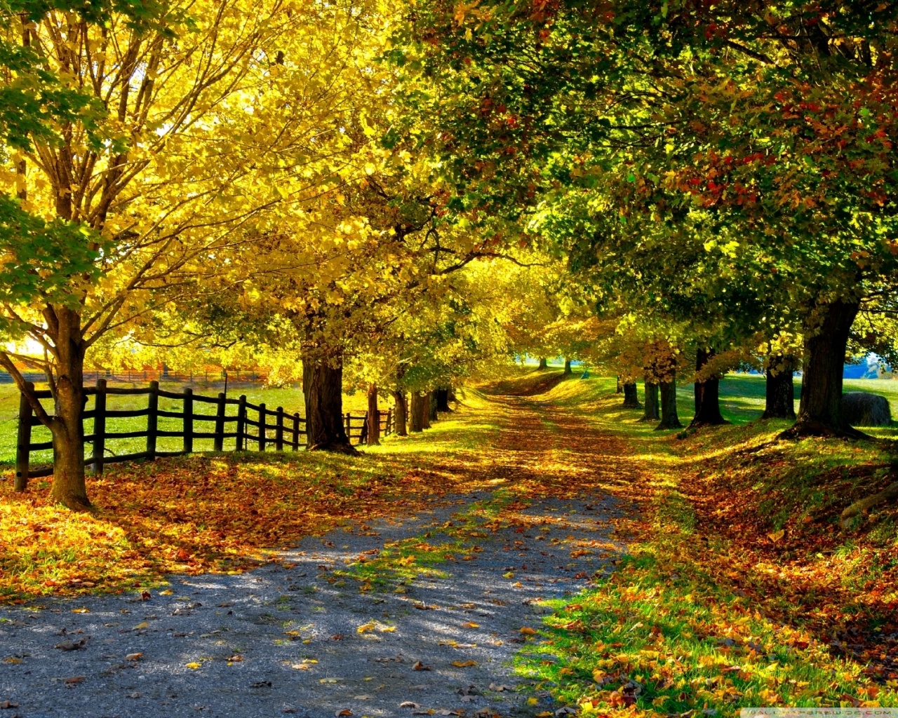 The Most Beautiful Autumn HD desktop wallpaper : High Definition ...