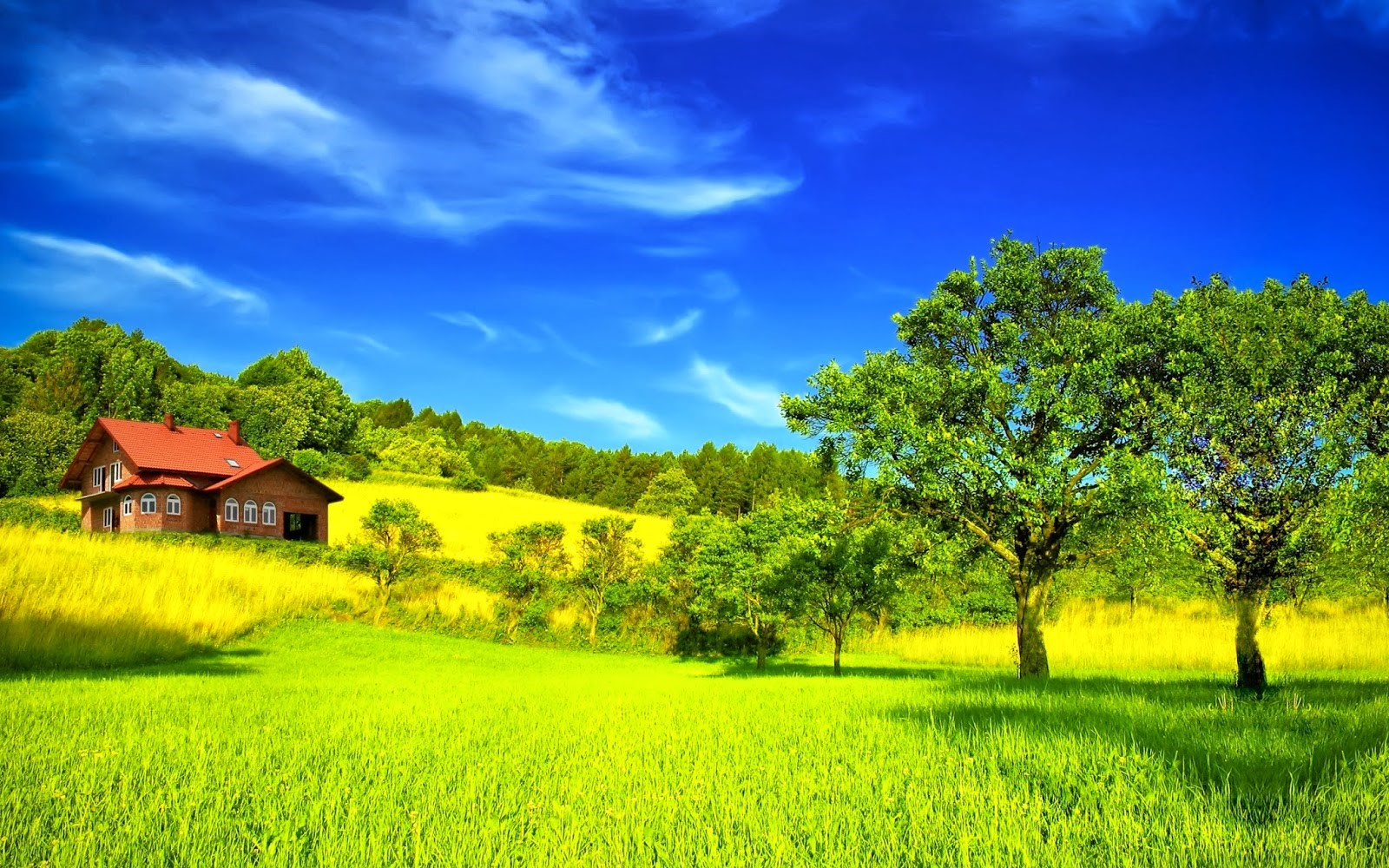most beautiful green nature wallpapers in the world | HD ...