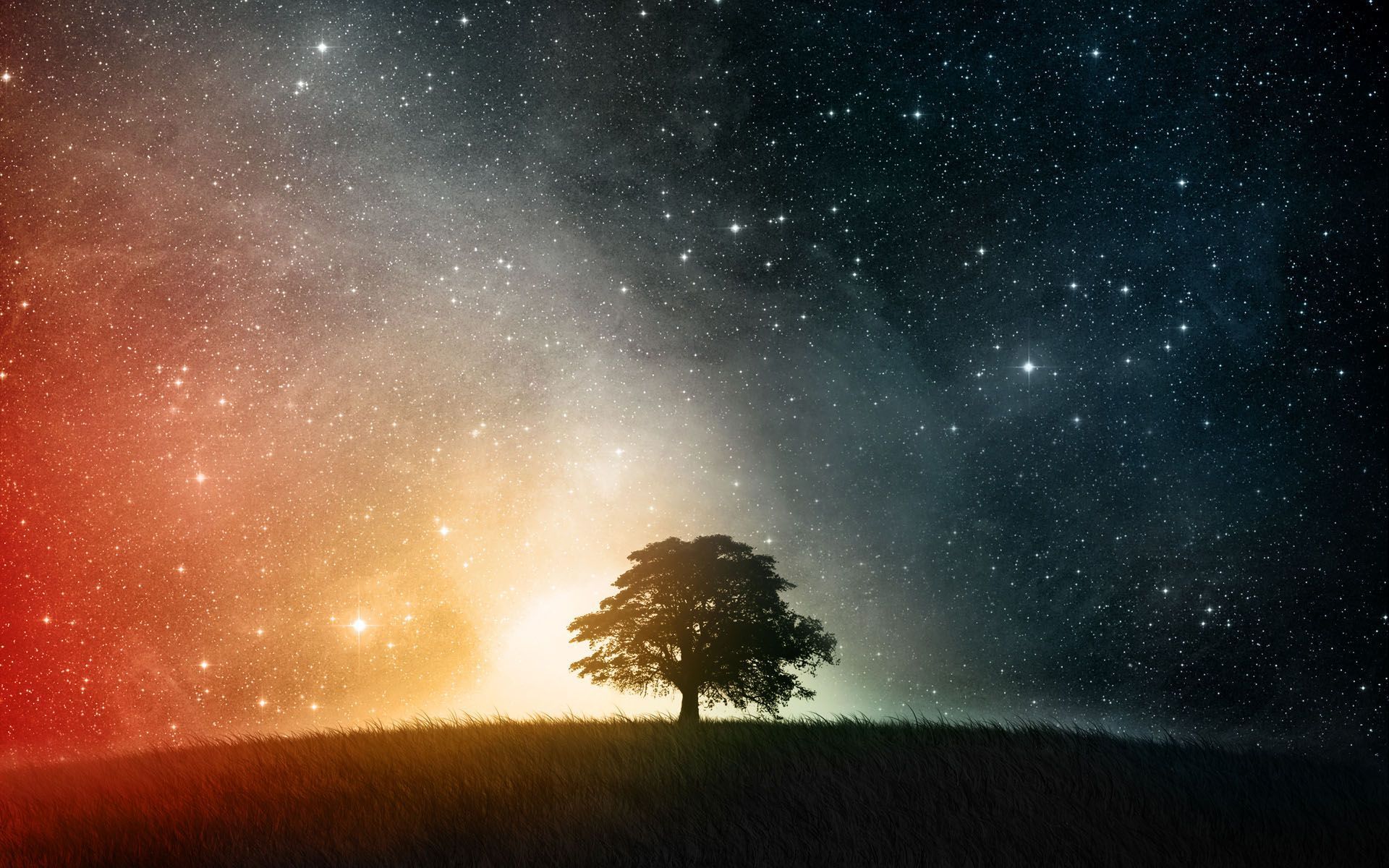 Beautiful Tree Shadow on Starry Sky - 1920x1200 - Full HD 16 / 10