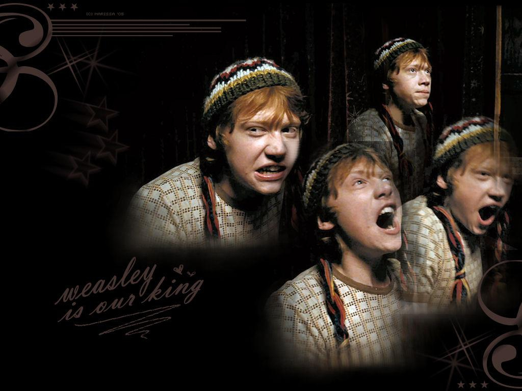 Ron Weasley - Ronald Weasley Wallpaper (1047379) - Fanpop