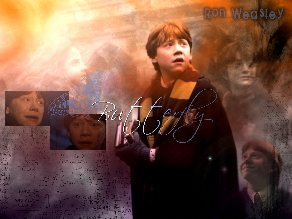 Ronald Weasley - Ronald Weasley Wallpaper (16408271) - Fanpop
