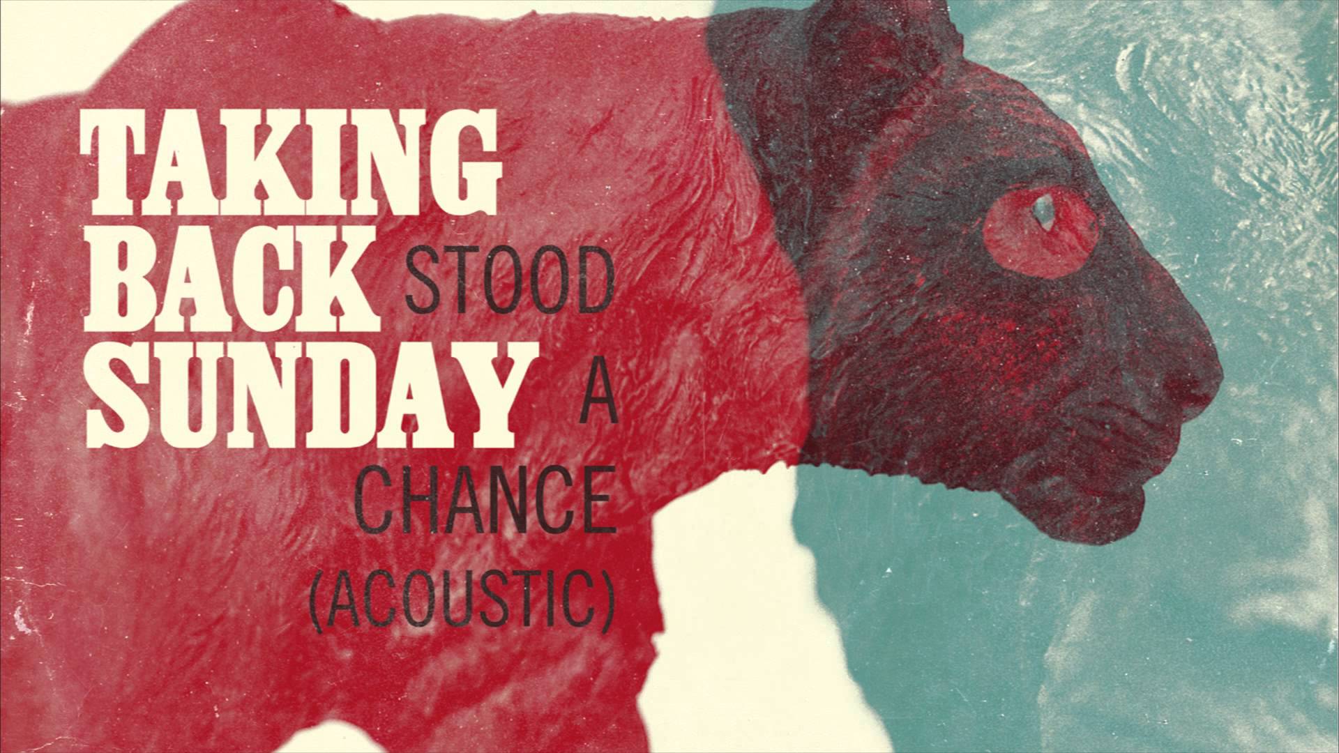 Taking Back Sunday - Stood A Chance (Acoustic) - YouTube