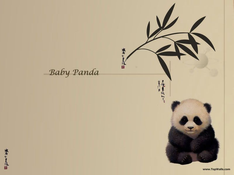 Baby Panda wallpaper - Pandas Wallpaper (631180) - Fanpop