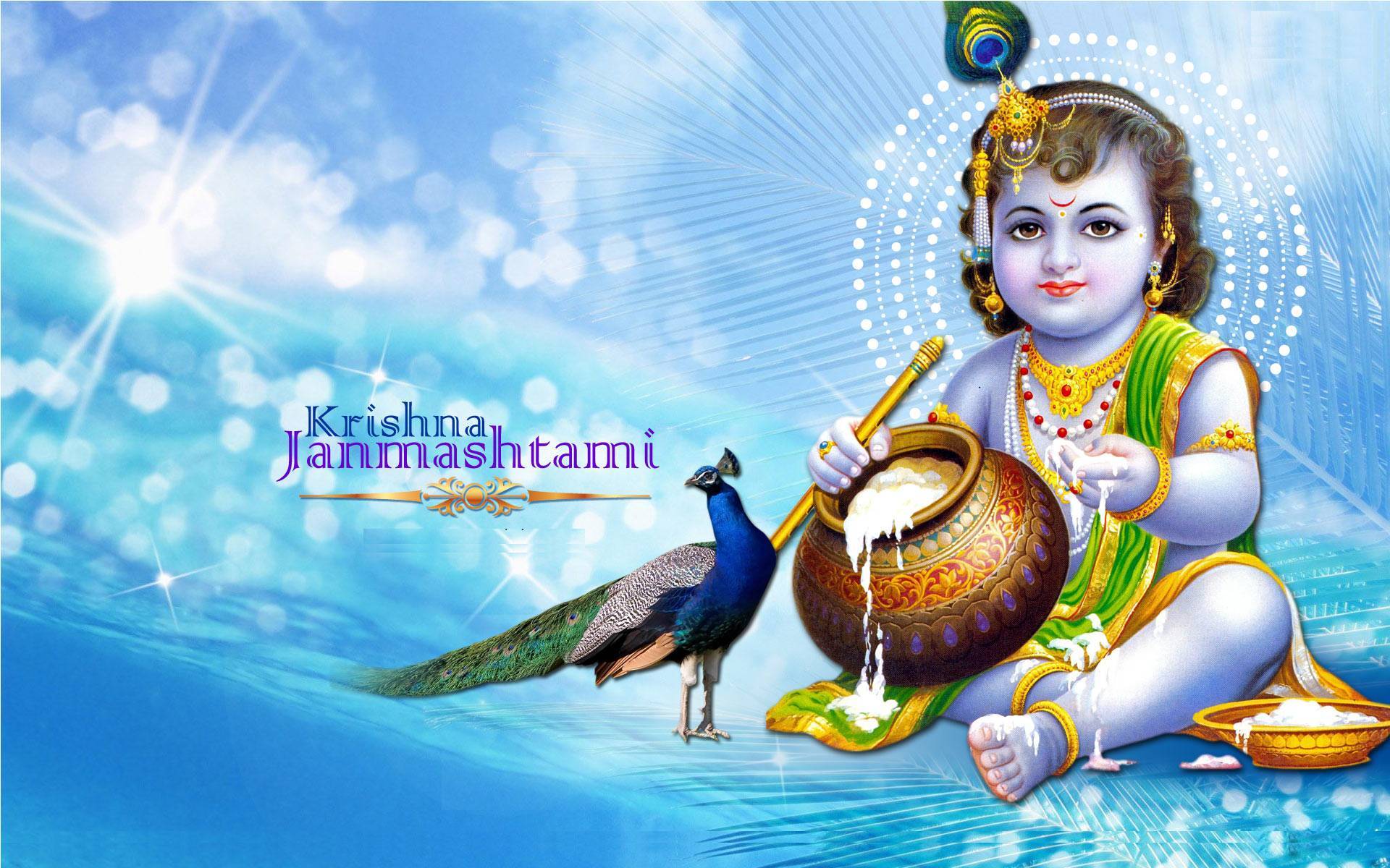 Janmashtami krishna birthday wallpaper Wide HD Backgrounds