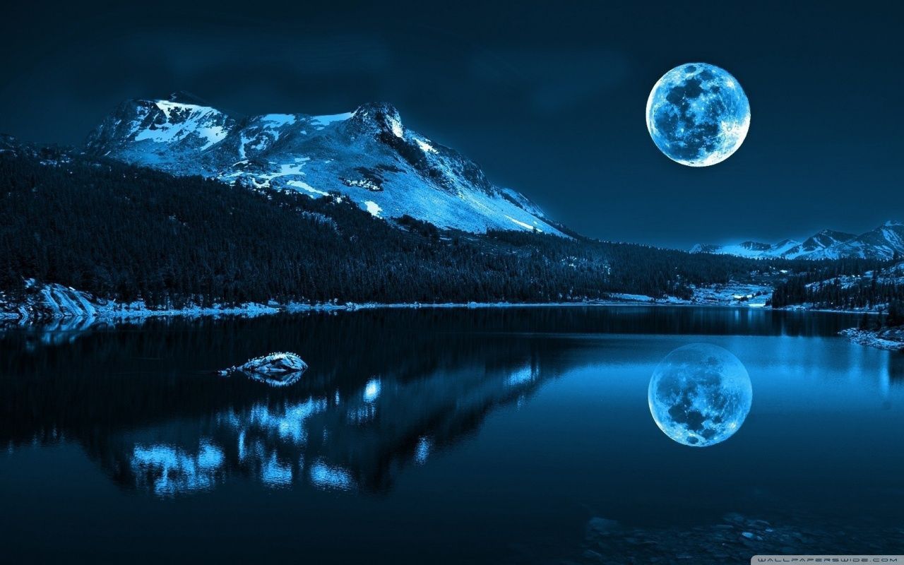 Moonlight Night HD desktop wallpaper : Widescreen : High ...