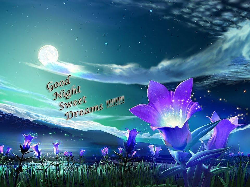 Free Download 17 Beautiful Good Night Wallpapers HD