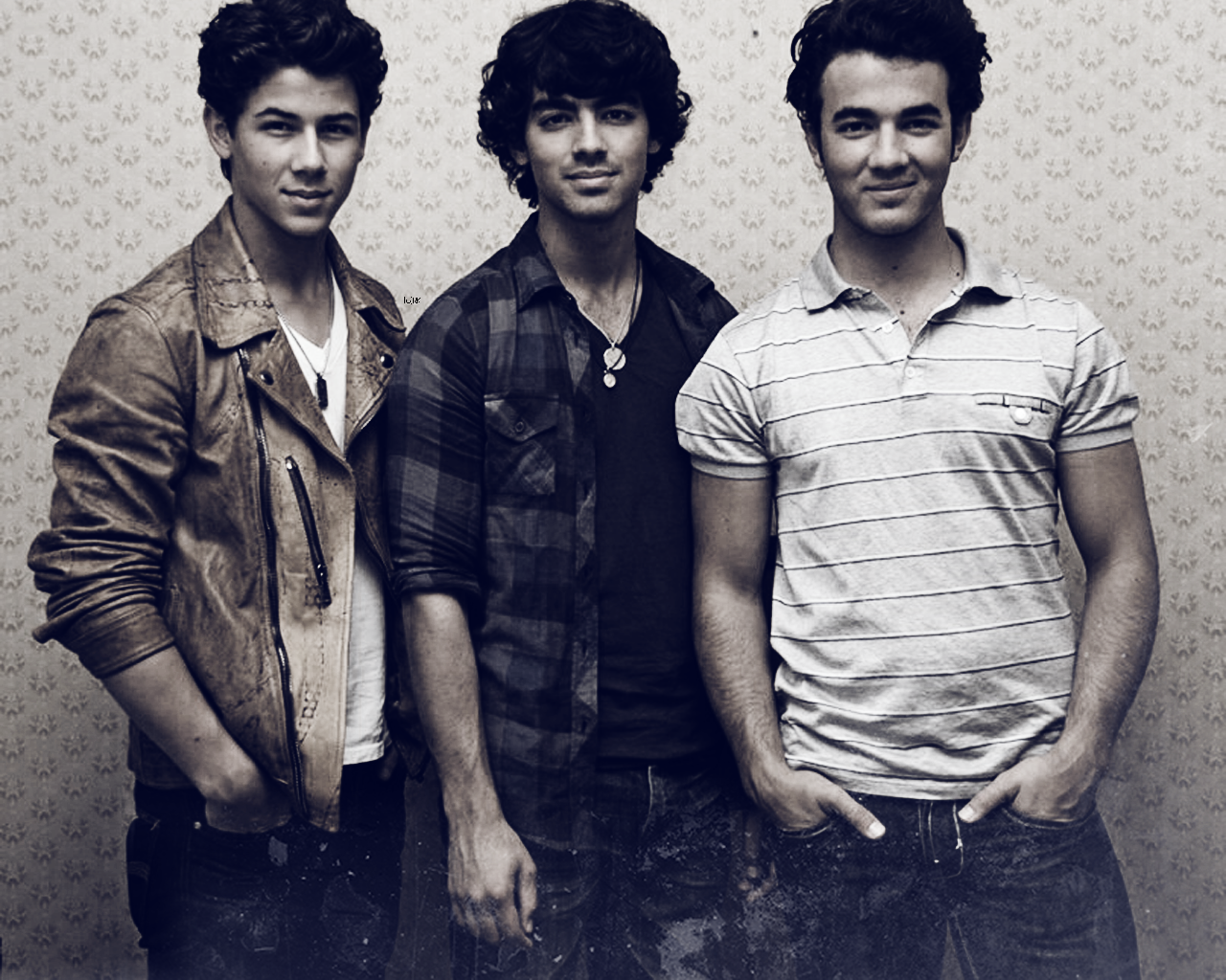 Jonas - The Jonas Brothers Wallpaper 31270746 - Fanpop