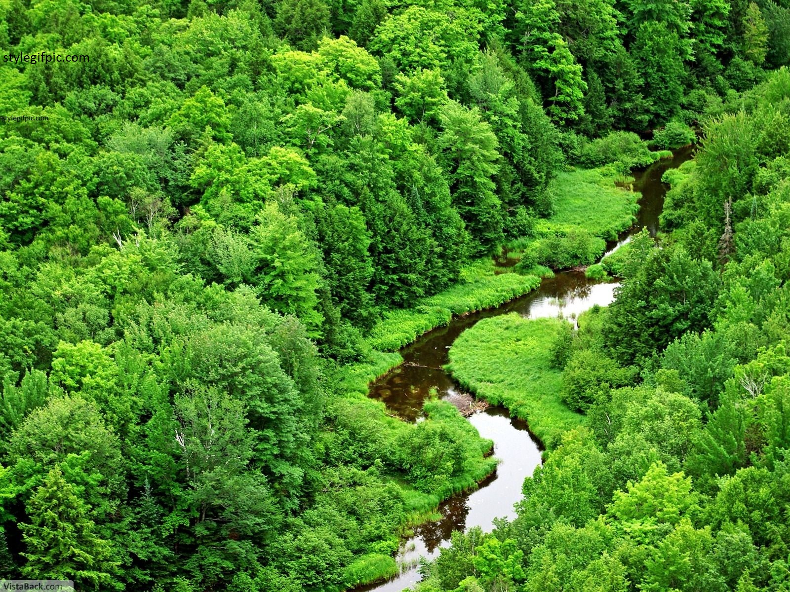 StyleGifPic Most Beautiful Green Nature Wallpapers In The World 2015