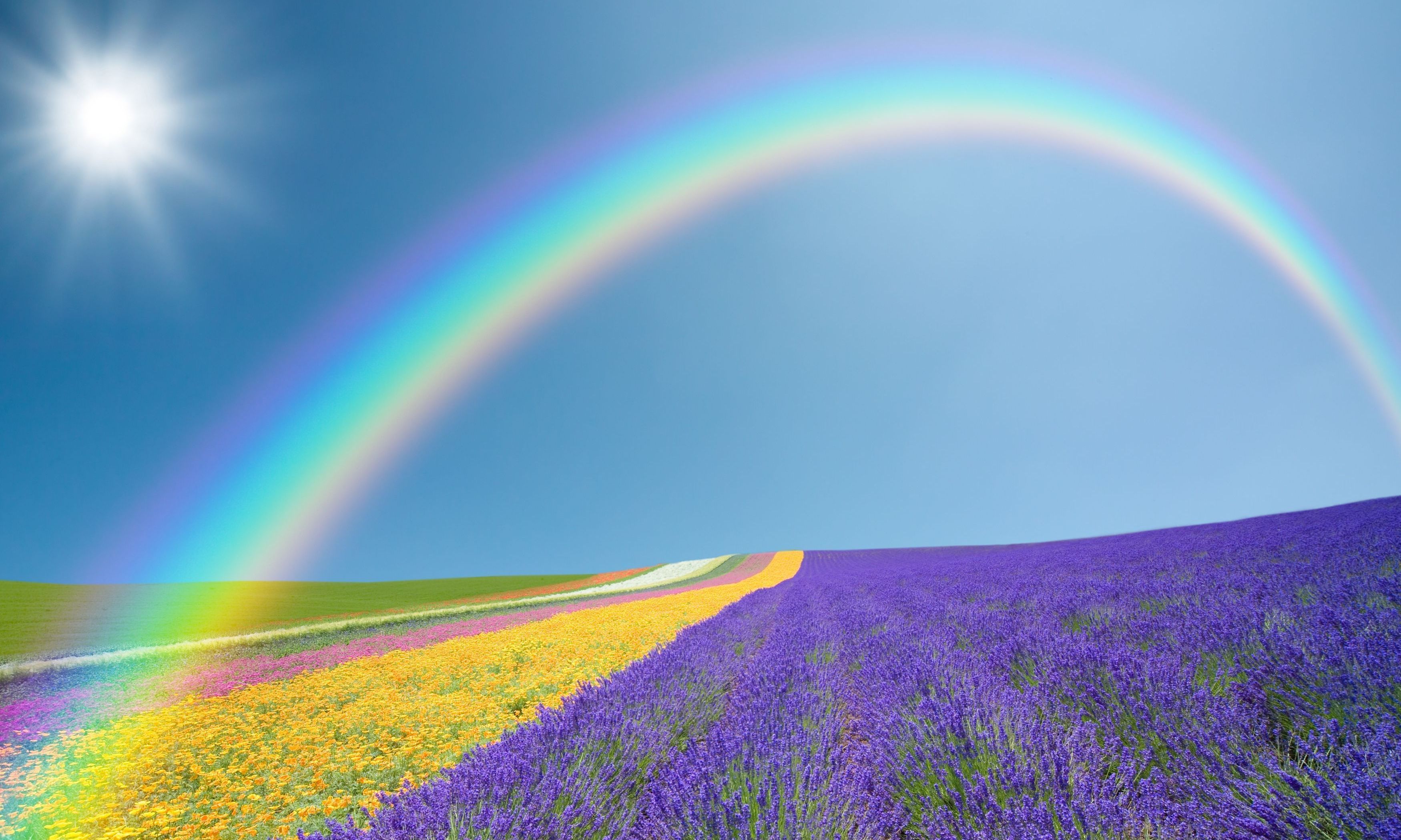 Real Rainbows In The Sky - wallpaper