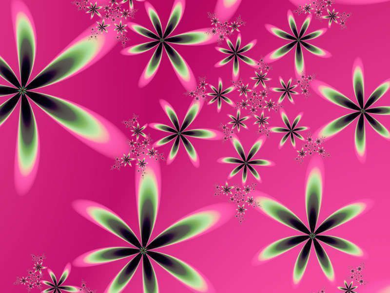 Pink wallpaper - Pink Color Wallpaper 10579427 - Fanpop