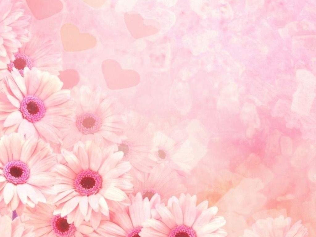 Cool Pink HD Wallpaper is a fantastic HD wallpaper for your PC or ...