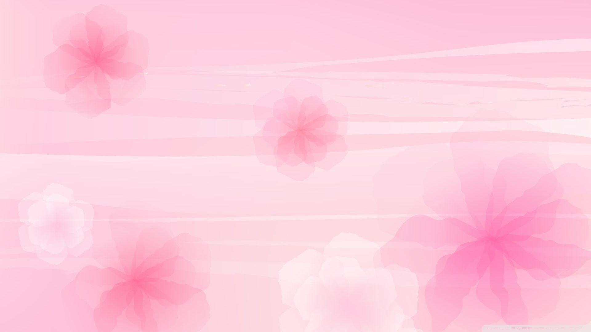 Pink Wallpaper - Colors Wallpaper (34511779) - Fanpop
