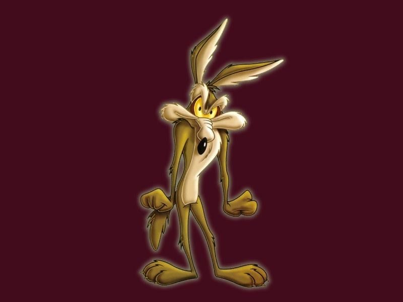 Wile E. Coyote Wallpapers