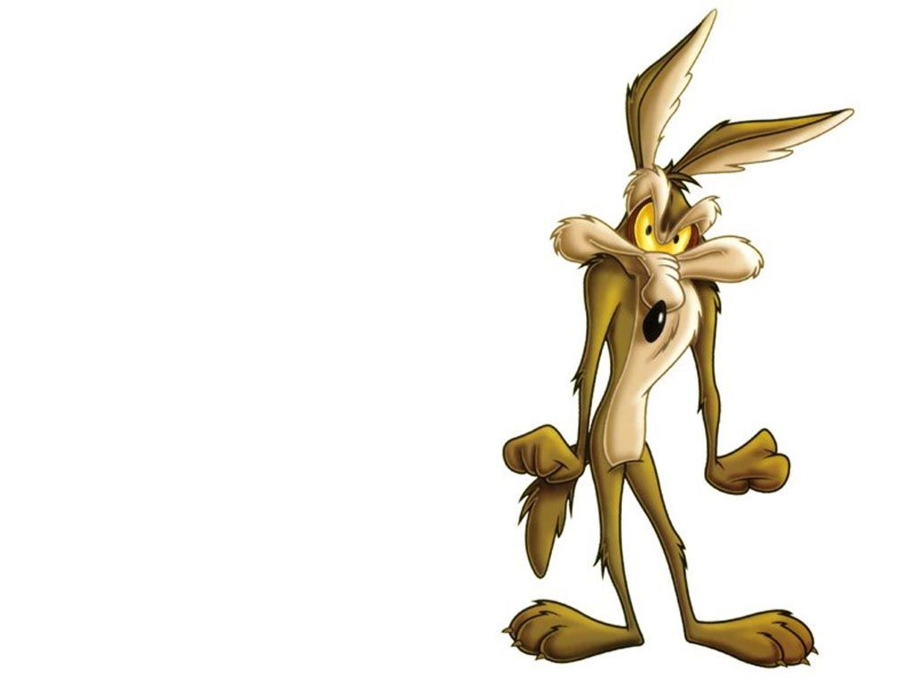 Wile E. Coyote Wallpapers