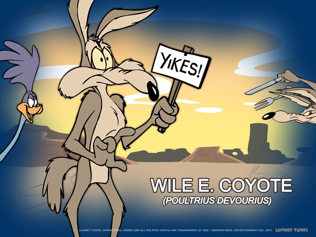 Wile E Coyote BEEP BEEP - WileE Quixote Wallpaper 7263939