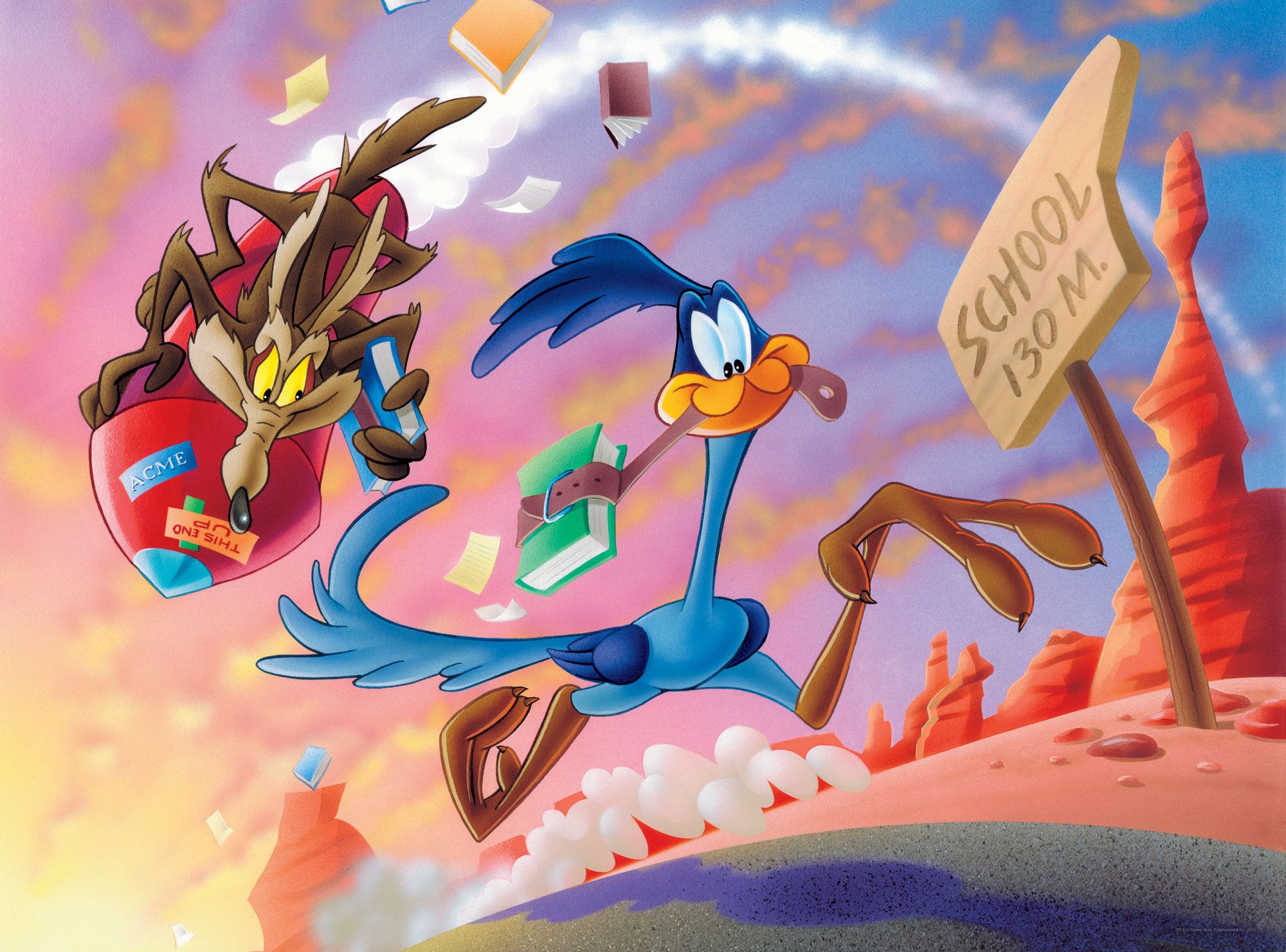 WILE E COYOTE ROAD RUNNER looney fw wallpaper 1680x1050 161121