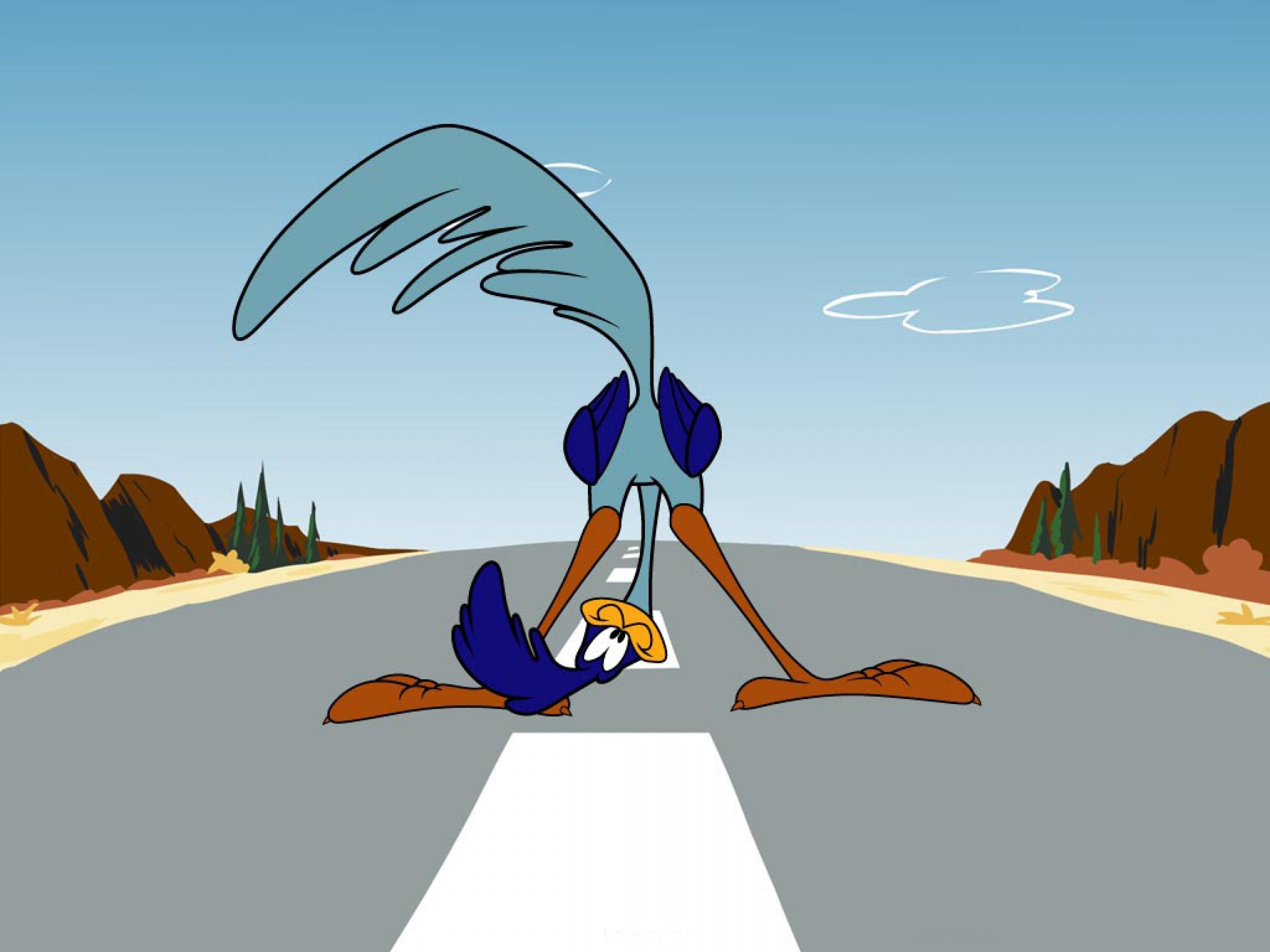 WILE E COYOTE ROAD RUNNER looney f wallpaper 2560x1920 161119