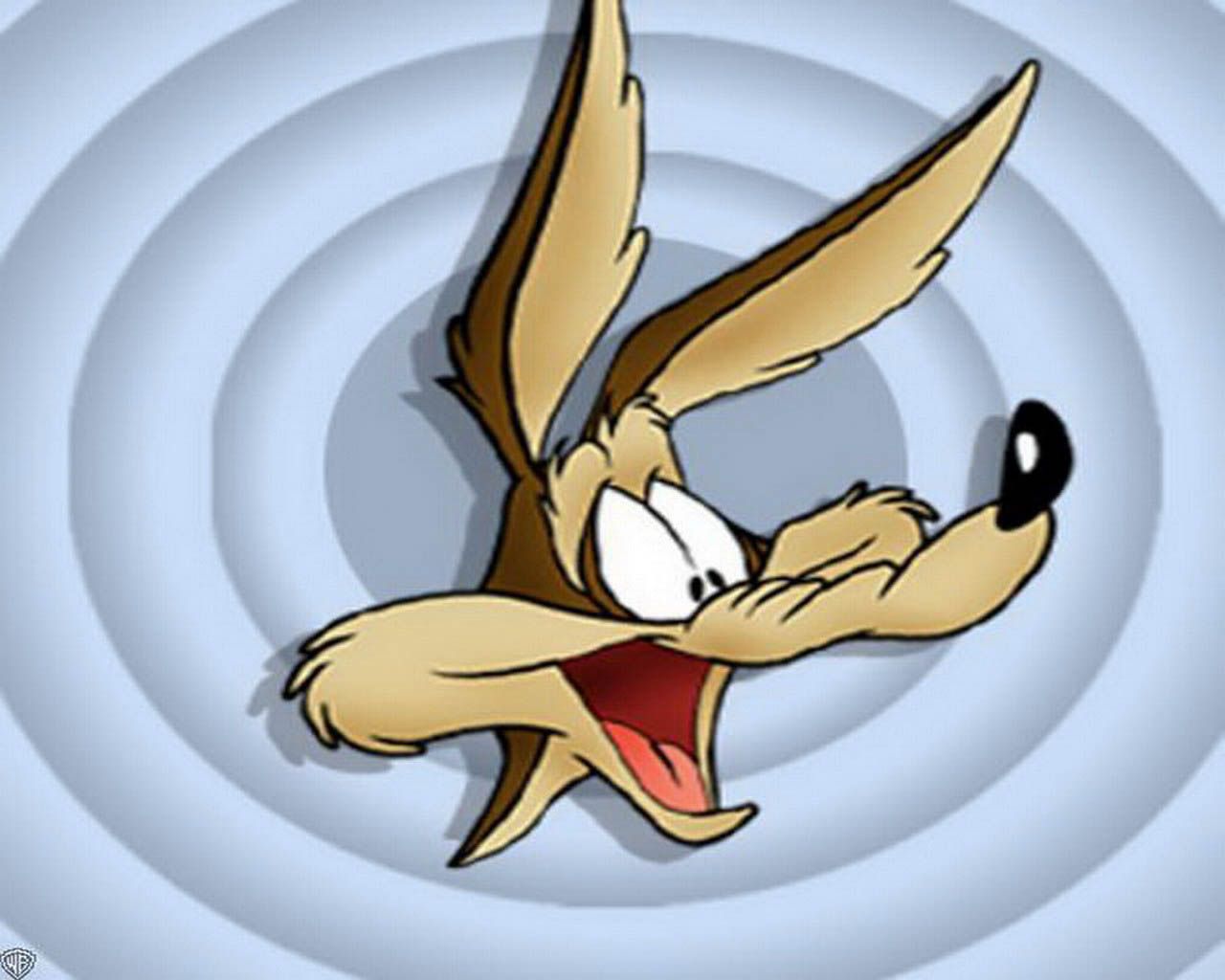 Wile E Coyote High Resolution HD Wallpapers - All HD Backgrounds