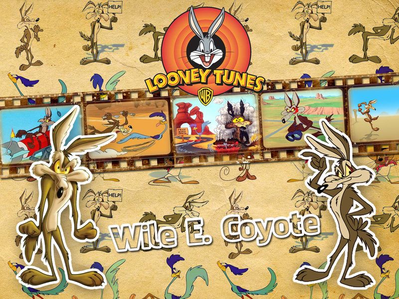 Wile E. Coyote Looney Tunes - Wallpaper by Howie62 on DeviantArt