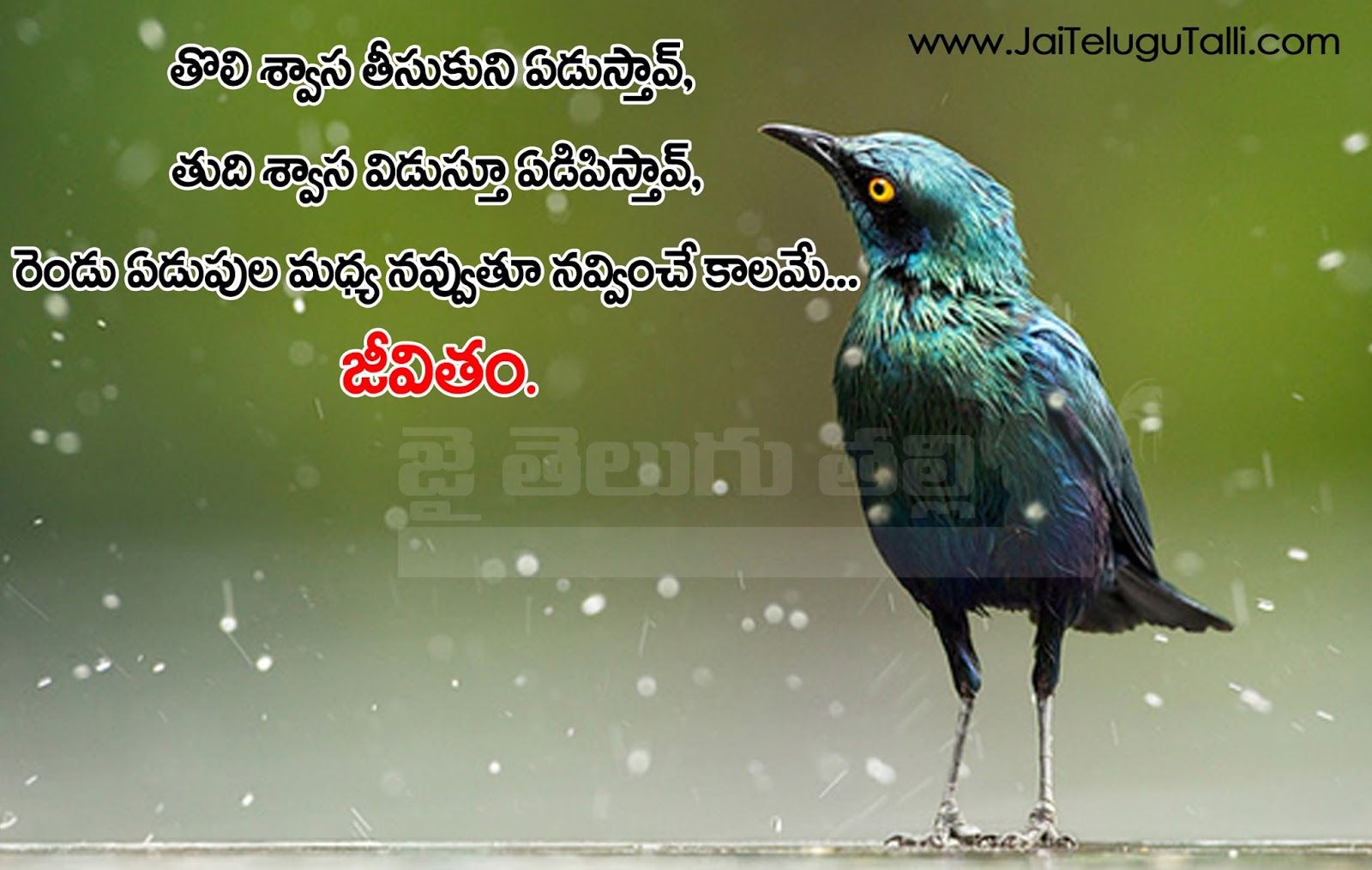 telugu quotations on life hd