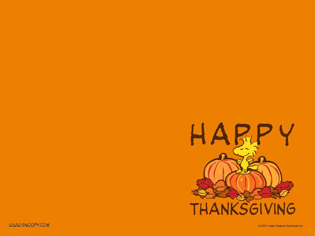 Free Thanksgiving Wallpapers, Screensavers and Pictures Download ...