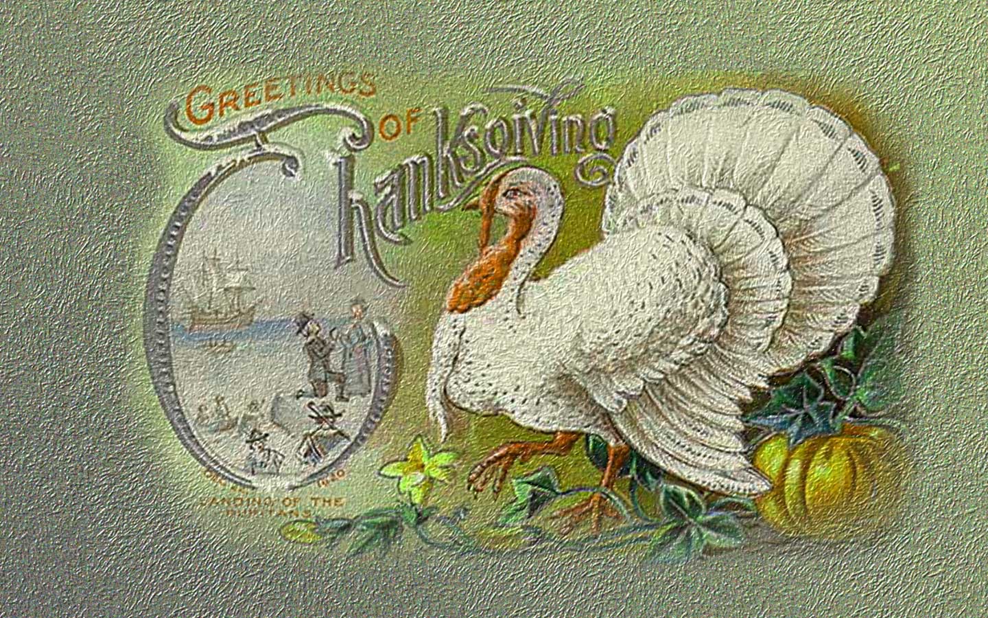 Free desktop thanksgiving wallpaper - Funny Thanksgiving Pictures