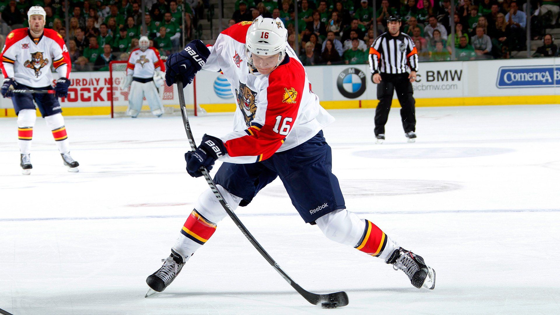 Florida Panthers Full HD Widescreen wallpapers for